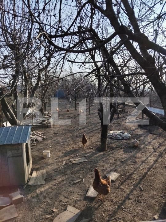 Casa de vânzare 4 camere Puchenii Mari - 182279CV | BLITZ Ploieşti | Poza11