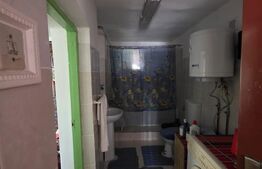 Casă, teren generos – Măgurele, sat Iazu, Prahova