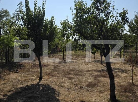 Casa de vânzare 3 camere Exterior Nord - 182332CV | BLITZ Ploieşti | Poza11