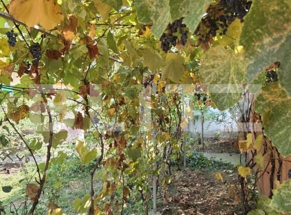 Casa de vânzare 3 camere Exterior Nord - 182332CV | BLITZ Ploieşti | Poza12