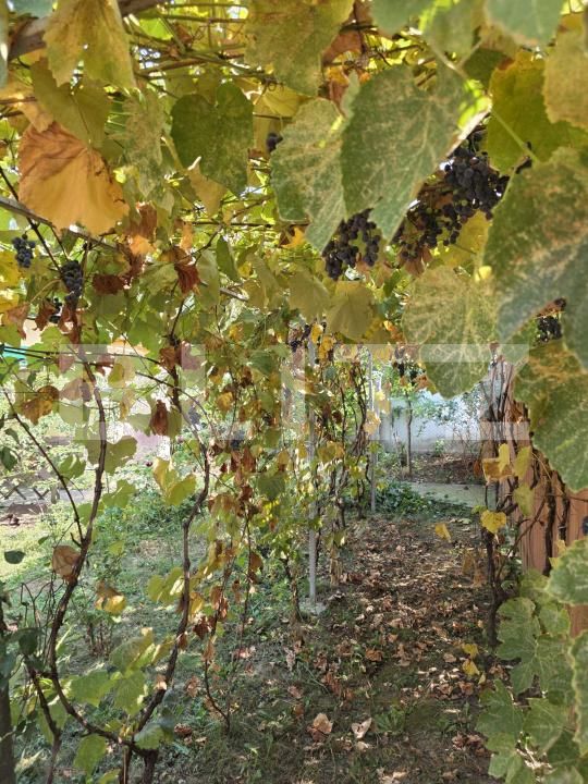 Casa de vânzare 3 camere Exterior Nord - 182332CV | BLITZ Ploieşti | Poza12