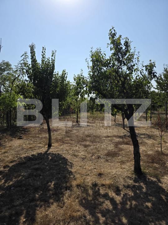 Casa de vânzare 3 camere Exterior Nord - 182332CV | BLITZ Ploieşti | Poza11