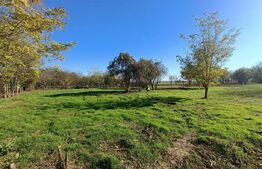 OPORTUNITATE TEREN 0,9 Ha intravilan constructii+extravilan