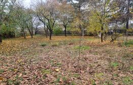 OPORTUNITATE TEREN 0,9 Ha intravilan constructii+extravilan