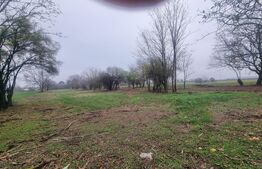 OPORTUNITATE TEREN 0,9 Ha intravilan constructii+extravilan