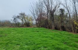 TEREN  constructii+extravilan 9000 mp 2 fronturi de  38 m