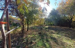 TEREN  constructii+extravilan 9000 mp 2 fronturi de  38 m