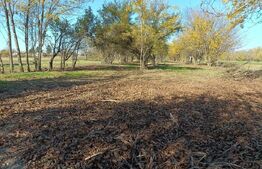 OPORTUNITATE TEREN 0,9 Ha intravilan constructii+extravilan