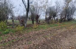 OPORTUNITATE TEREN 0,9 Ha intravilan constructii+extravilan