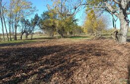 TEREN  constructii+extravilan 9000 mp 2 fronturi de  38 m