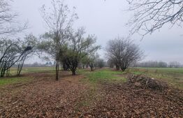 OPORTUNITATE TEREN 0,9 Ha intravilan constructii+extravilan