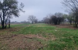 OPORTUNITATE TEREN 0,9 Ha intravilan constructii+extravilan