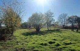 TEREN  constructii+extravilan 9000 mp 2 fronturi de  38 m