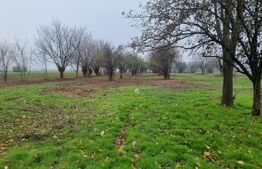 OPORTUNITATE TEREN 0,9 Ha intravilan constructii+extravilan