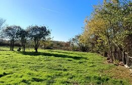 OPORTUNITATE TEREN 0,9 Ha intravilan constructii+extravilan