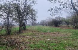 OPORTUNITATE TEREN 0,9 Ha intravilan constructii+extravilan