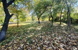 OPORTUNITATE TEREN 0,9 Ha intravilan constructii+extravilan