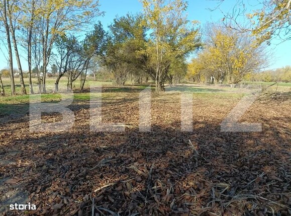 Casa de vânzare 3 camere Sirna - 182406CV | BLITZ Ploieşti | Poza19