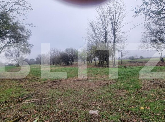 Casa de vânzare 3 camere Sirna - 182406CV | BLITZ Ploieşti | Poza8