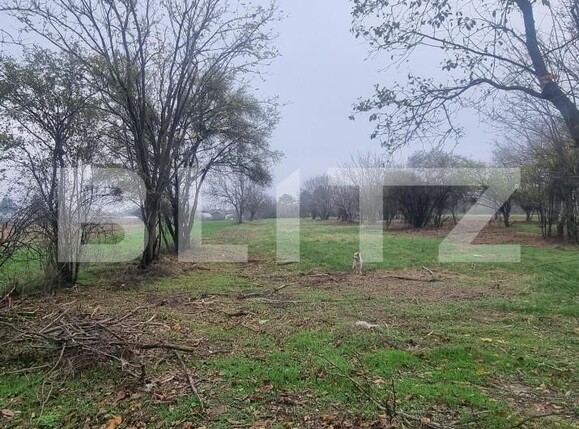 Casa de vânzare 3 camere Sirna - 182406CV | BLITZ Ploieşti | Poza6