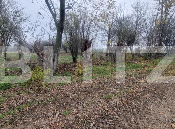 Casa de vânzare 3 camere Sirna - 182406CV | BLITZ Ploieşti | Poza5