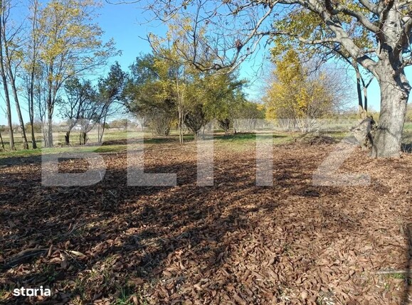 Casa de vânzare 3 camere Sirna - 182406CV | BLITZ Ploieşti | Poza18