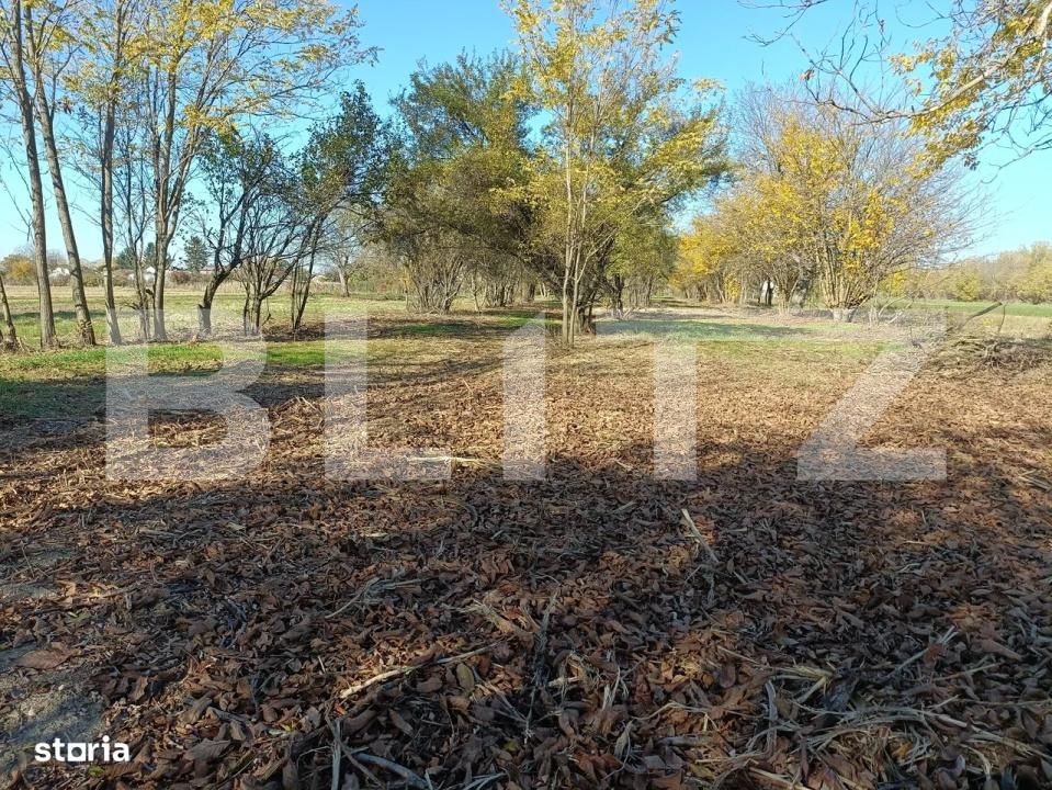 Casa de vânzare 3 camere Sirna - 182406CV | BLITZ Ploieşti | Poza19