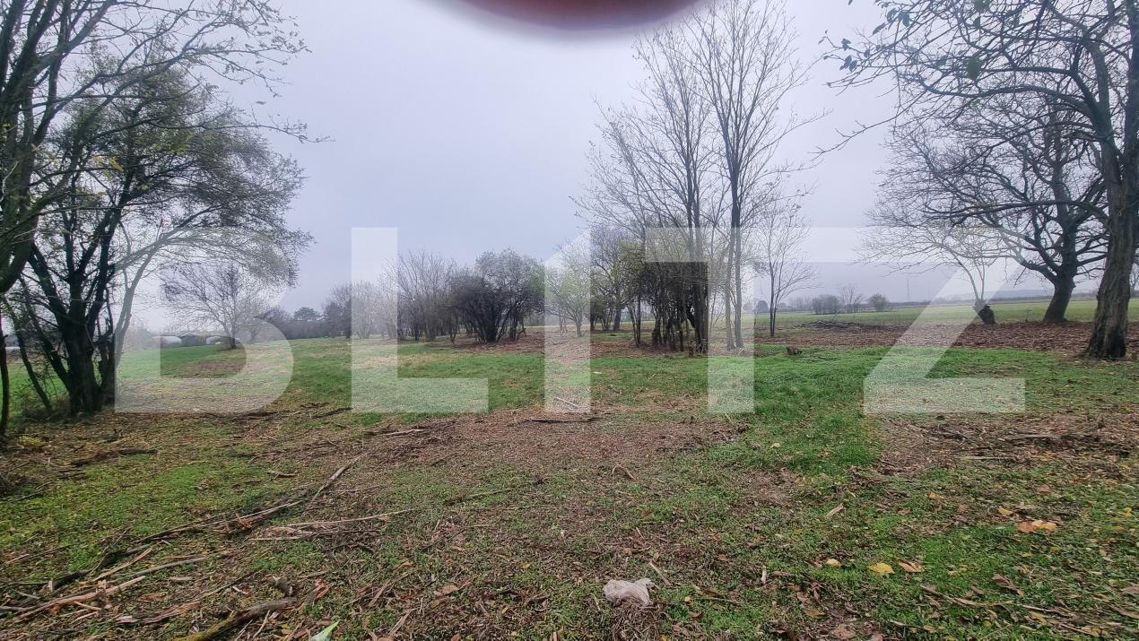 Casa de vânzare 3 camere Sirna - 182406CV | BLITZ Ploieşti | Poza8