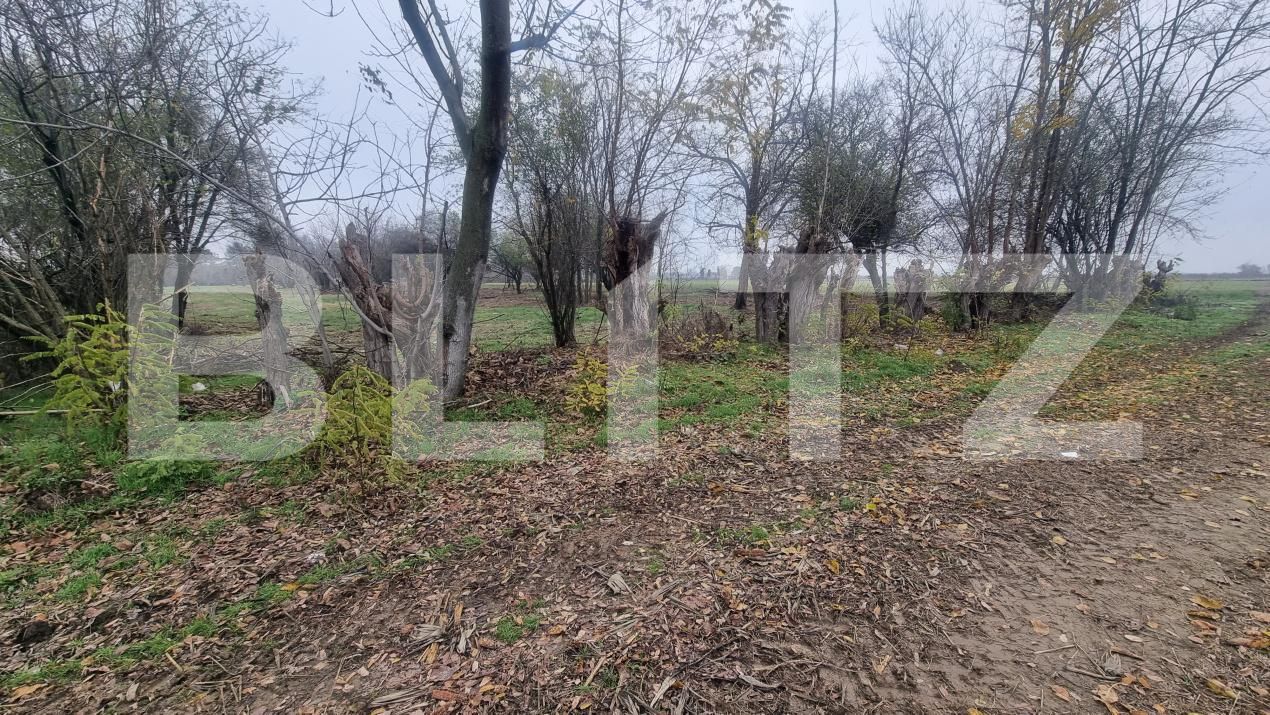 Casa de vânzare 3 camere Sirna - 182406CV | BLITZ Ploieşti | Poza5