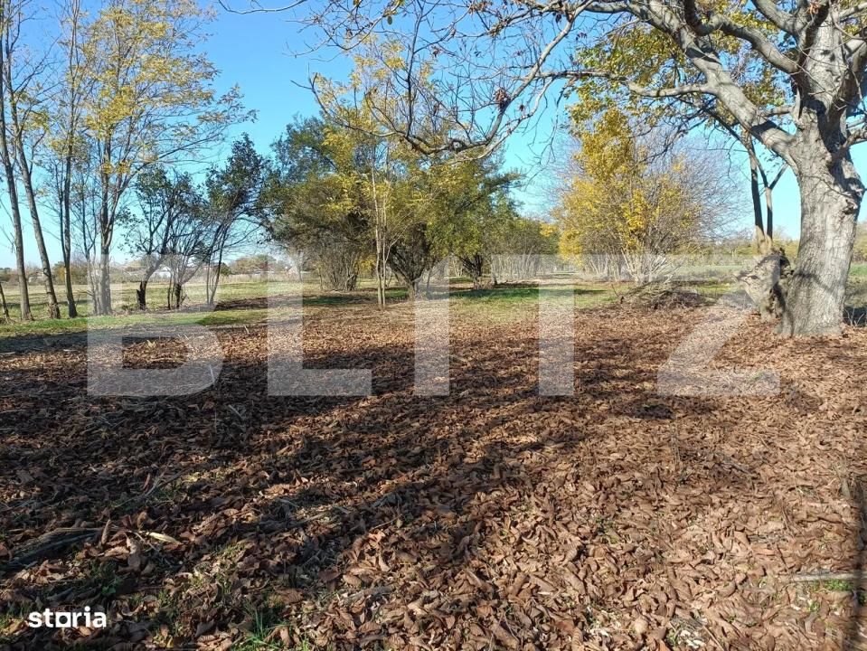 Casa de vânzare 3 camere Sirna - 182406CV | BLITZ Ploieşti | Poza18