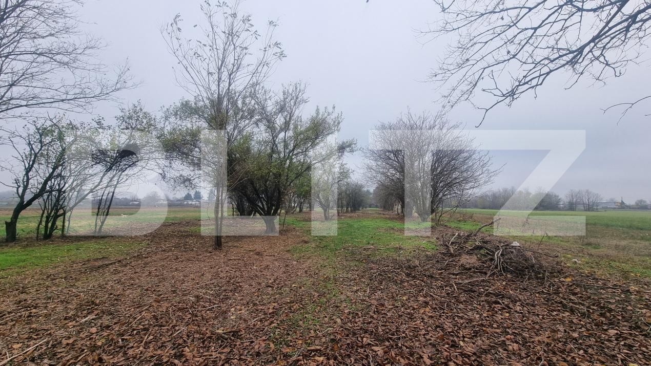 Casa de vânzare 3 camere Sirna - 182406CV | BLITZ Ploieşti | Poza11