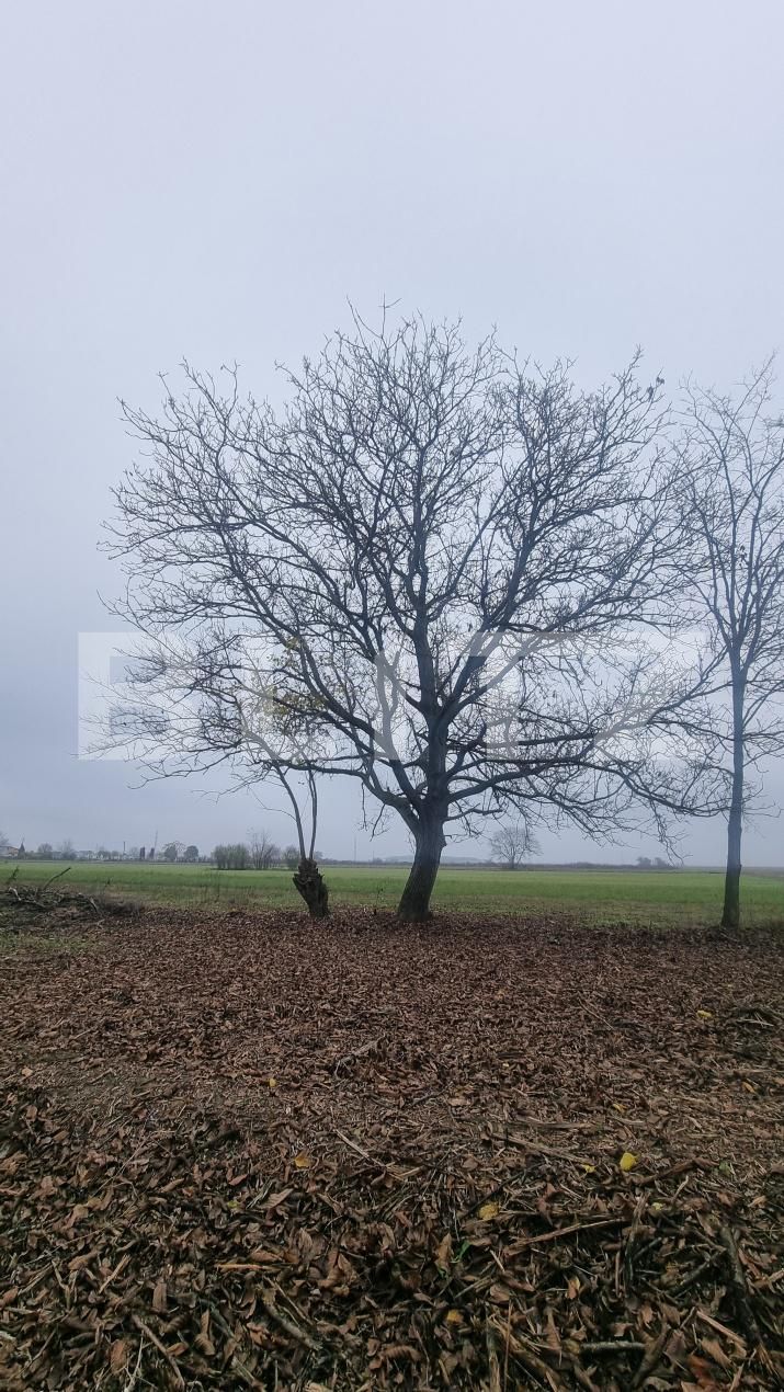 Casa de vânzare 3 camere Sirna - 182406CV | BLITZ Ploieşti | Poza10