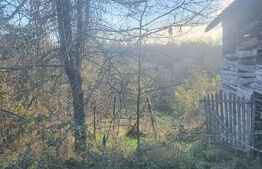 Teren 2.795 mp cu 500 mp intravilan în Vălcănești, Prahova