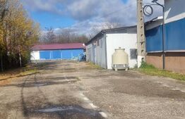 PESTE 10000 MP de platforma betonata,peste 4000 mp suprafata hale si birouri