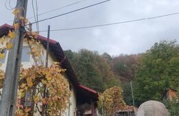 Casa cu etaj+Teren  Cornu -PH