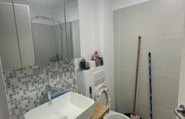 Ichiriere Apartament 2 Camere Nord
