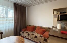 Apartament 2 camere, 42 mp, zona Teleajen 