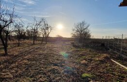 CASA RENOVATA 2025  + 800 mp