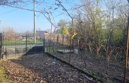 CASA RENOVATA 2025  + 800 mp