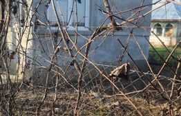 CASA RENOVATA 2025  + 800 mp