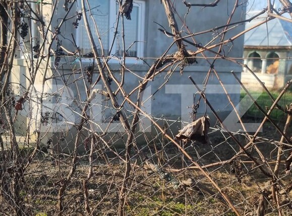 Casa de vânzare 4 camere Cocorastii Colt - 184134CV | BLITZ Ploieşti | Poza4