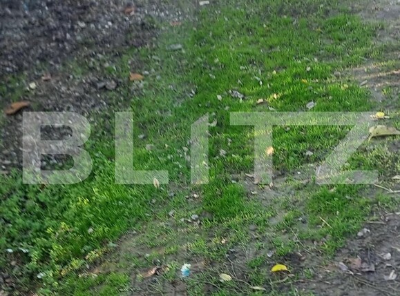 Casa de vânzare 4 camere Cocorastii Colt - 184134CV | BLITZ Ploieşti | Poza10