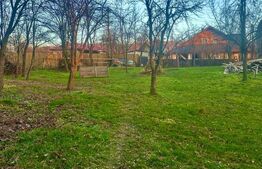 Teren intravilan 1.250 mp, drept, deschidere >20 ml, – Drajna de Jos, Prahova