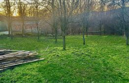 Teren intravilan 1.250 mp, drept, deschidere >20 ml, – Drajna de Jos, Prahova