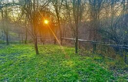 Teren intravilan 1.250 mp, drept, deschidere >20 ml, – Drajna de Jos, Prahova