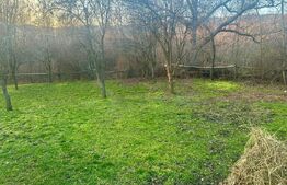 Teren intravilan 1.250 mp, drept, deschidere >20 ml, – Drajna de Jos, Prahova