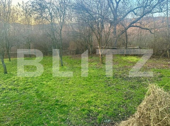 Teren de vânzare Drajna - 184208TV | BLITZ Ploieşti | Poza4