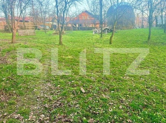 Teren de vânzare Drajna - 184208TV | BLITZ Ploieşti | Poza8