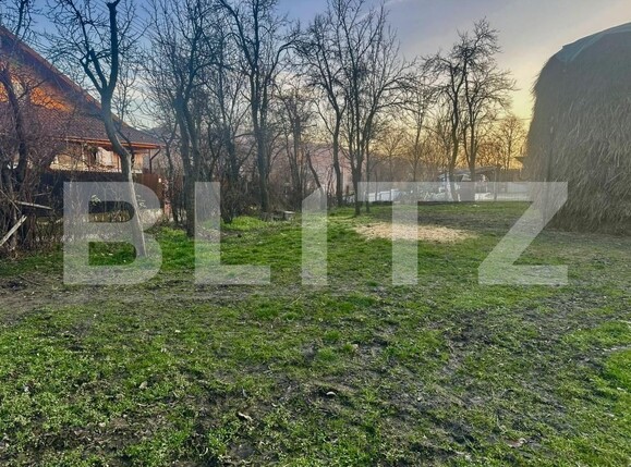 Teren de vânzare Drajna - 184208TV | BLITZ Ploieşti | Poza6