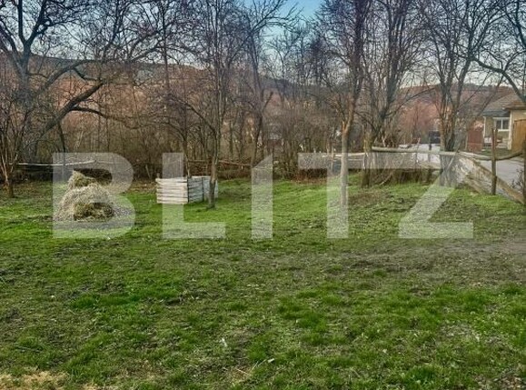 Teren de vânzare Drajna - 184208TV | BLITZ Ploieşti | Poza9